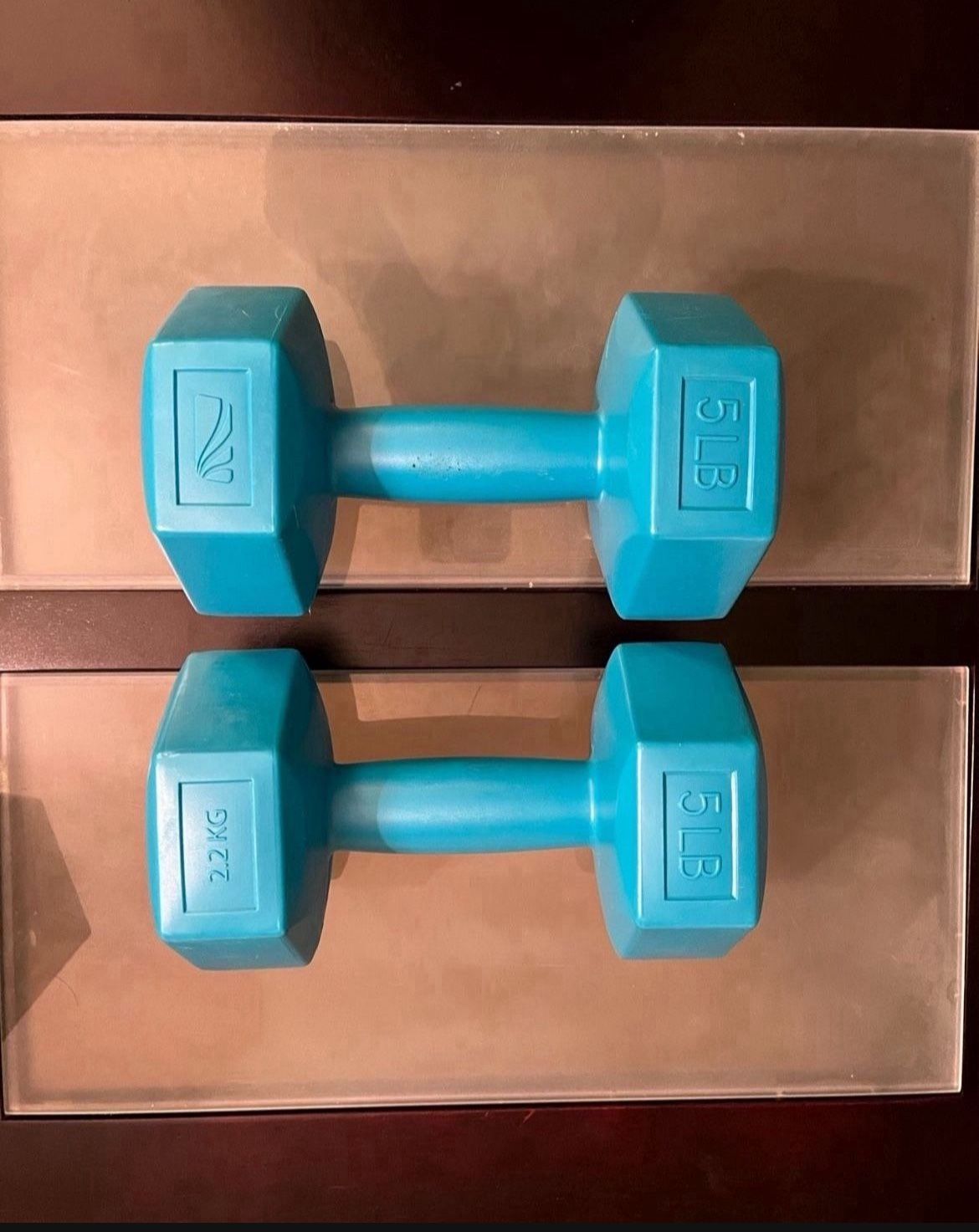 Gym Dumbbell Hexagon Hand Weights, 5 lb Pair - 10 lb Total (Pick up🛒 In Bellevue) *Check out my Other Posts 💕