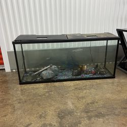 55 Gallon Fish Tank Everything With It $300