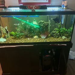 Aquarium 