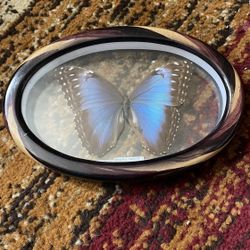 Butterfly Wall Decor