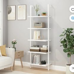 Ladder shelf 