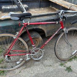 Murray Eliminator Vintage 1980’s Bicycle