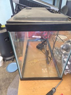 20 gallon aquarium