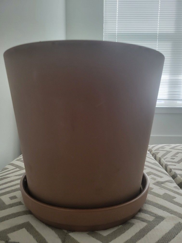 Plant Pot