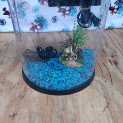 Small Fish Aquarium 