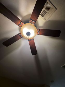 Ceiling Fans