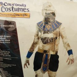 Kids Revenge Boys Pharaoh Costume 