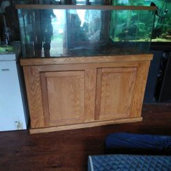 Turtle Tank 