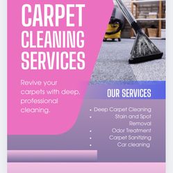 Professional Carpet Cleaners