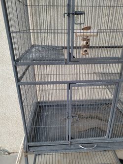 chinchilla cage