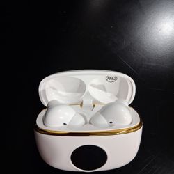 Wireless Bluetooth Earbuds w/ LED Display Charging Case – New
Price: