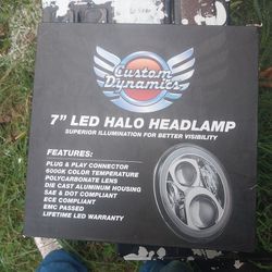 Custom Dynamics Headlight 