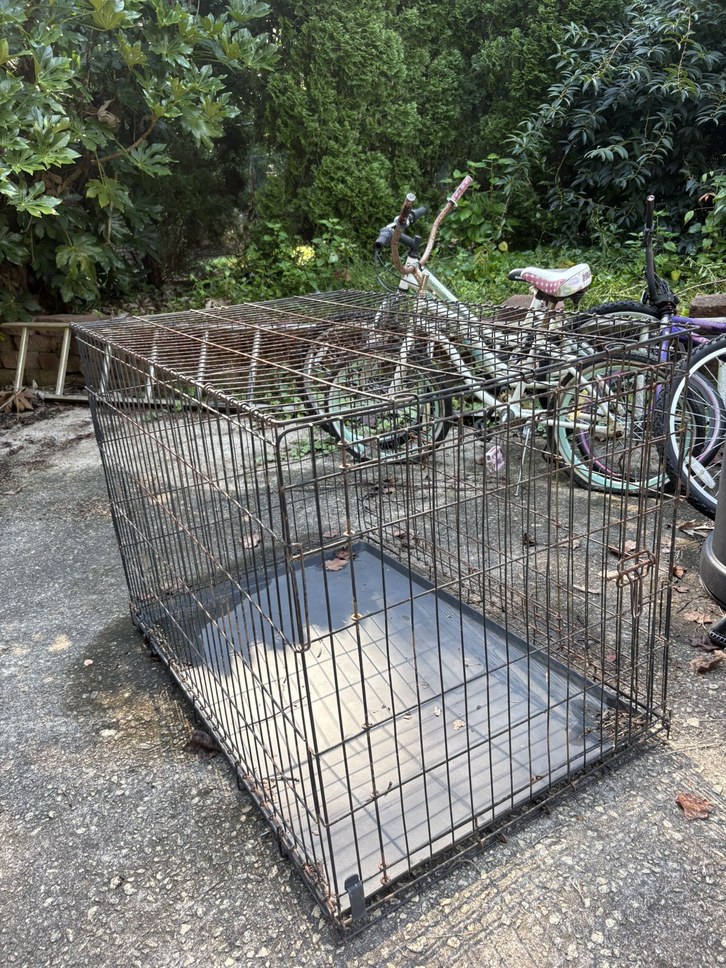 Animal Cage 