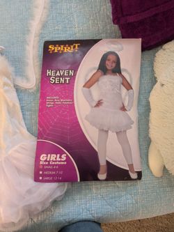 Angel costume.