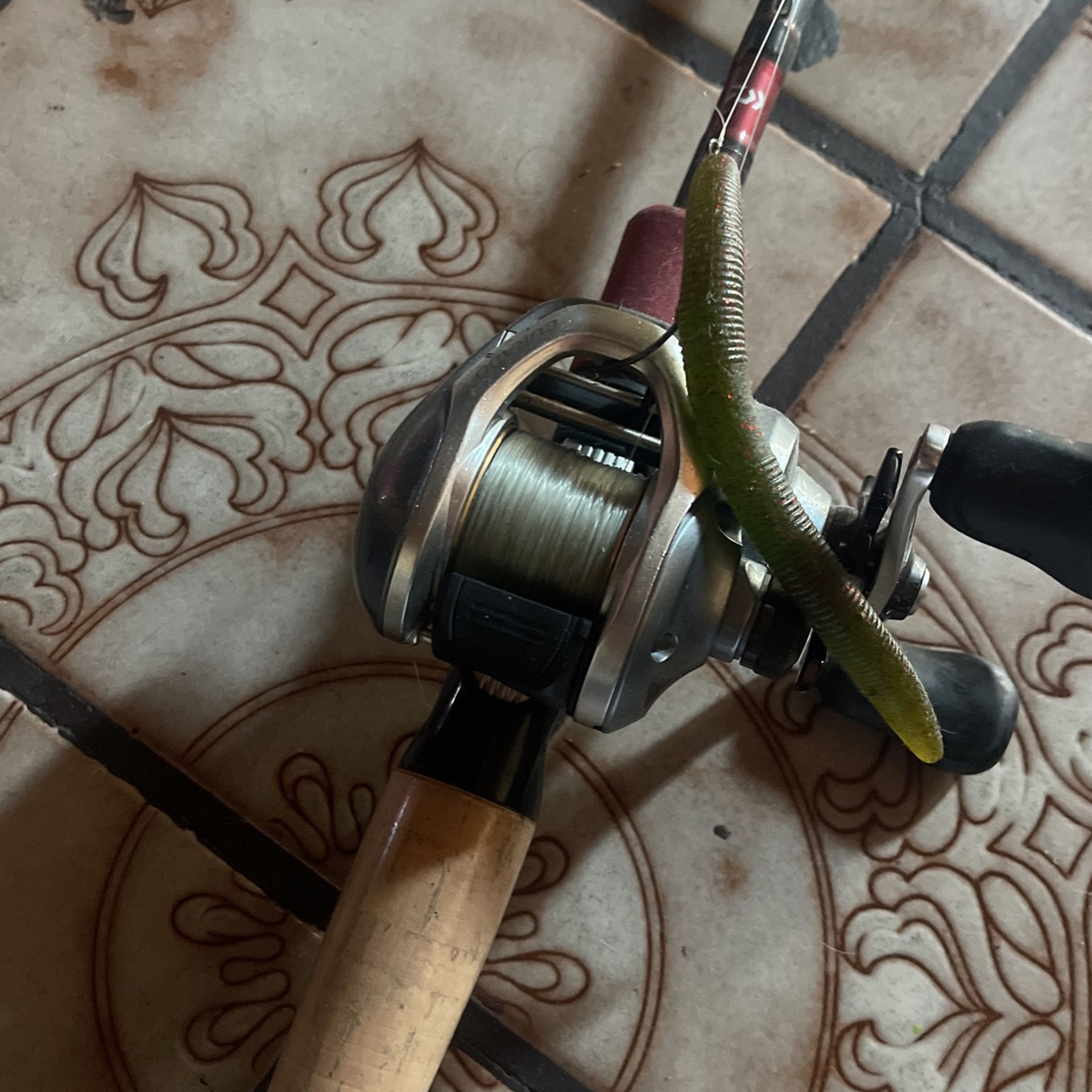Shimano Fishing Rod