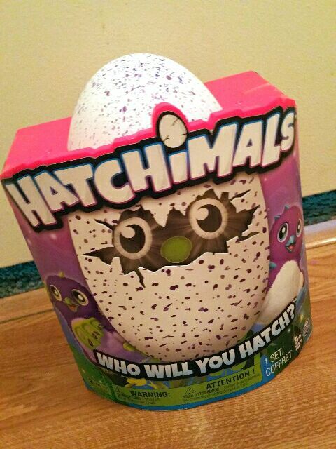 Hatchimals Purple/Blue Draggle