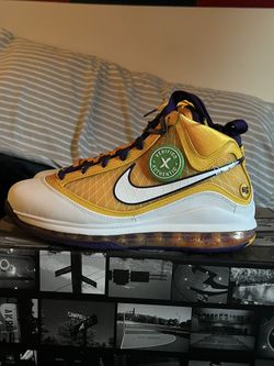 LeBron 7 Media Day QS