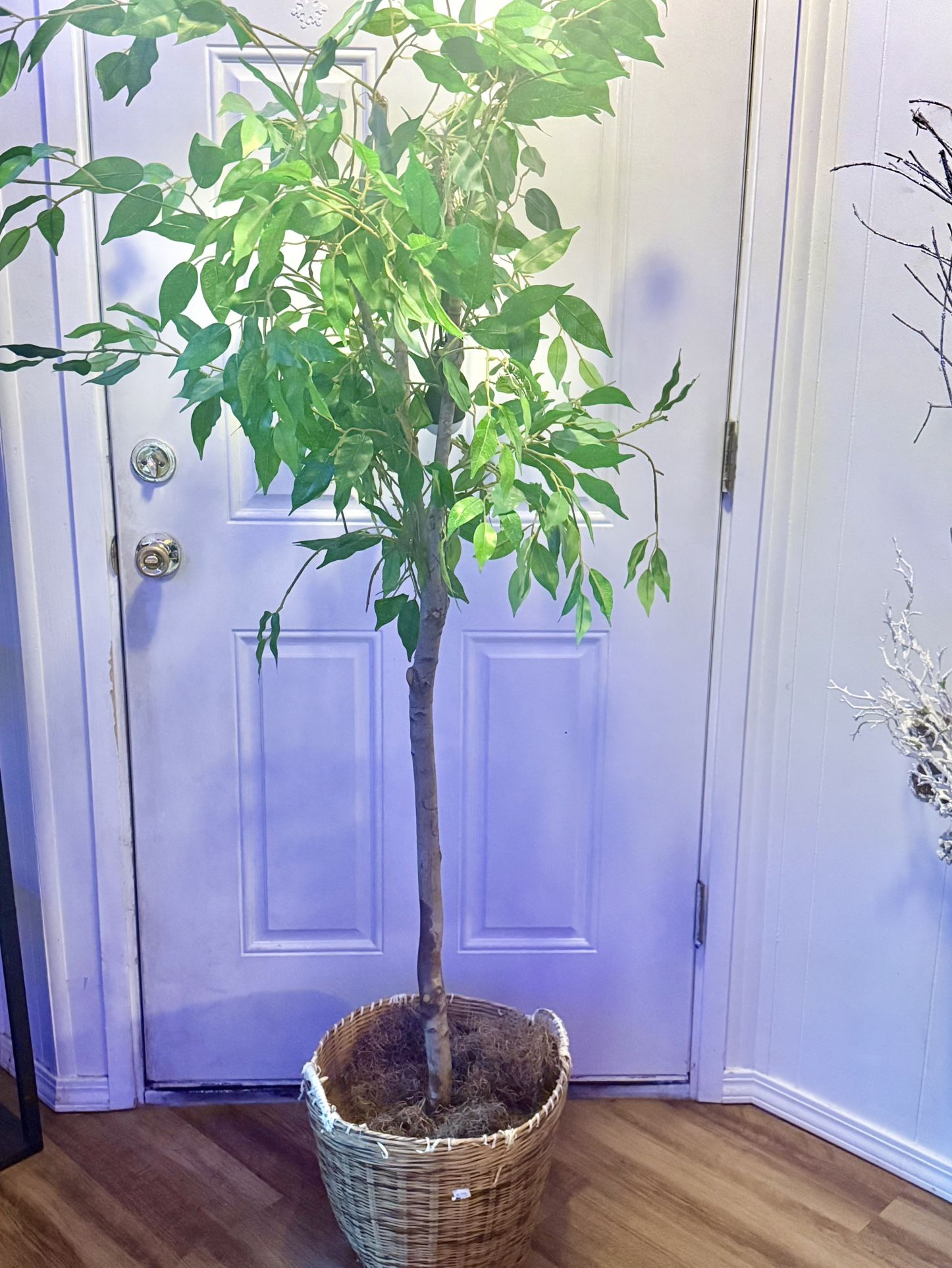 Elegant faux focus decorative home decoration tree with lush green leaves in a woven basket. Ideal for enhancing any room.