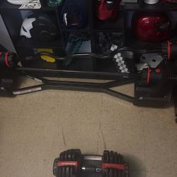 Bowflex Select Tech 2080 Barbell W/ curl Bar