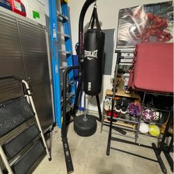 Boxing Bag/ Stand