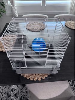 Beginner small hamster cage