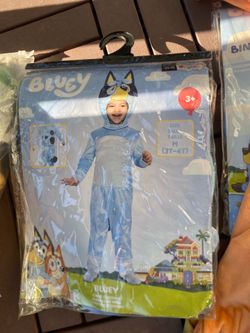 Bluey costume