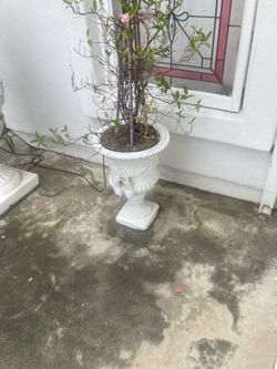 2 matching pots, white 18” tall