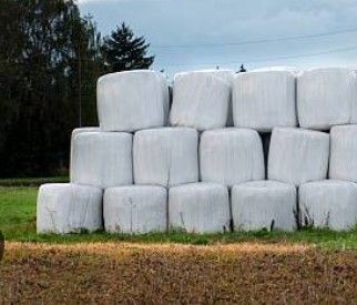 Round HAY