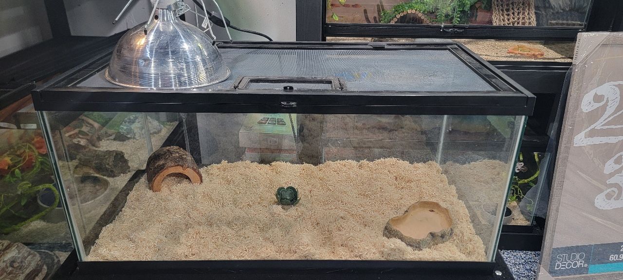 Reptile Tank