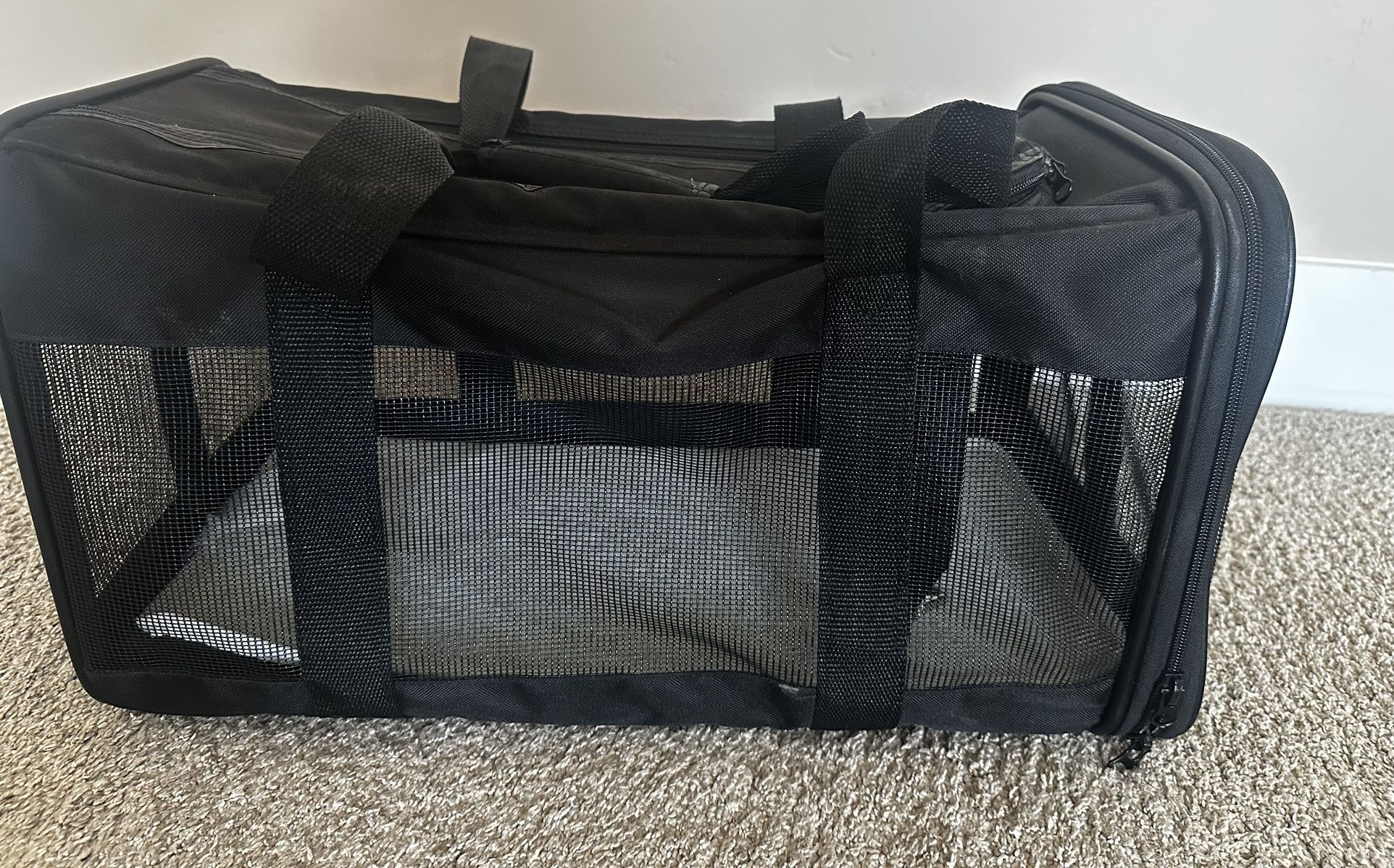 Cat Carrier Airline Approved
