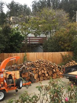 Oak firewood, cedar, eucalyptus, fir wood