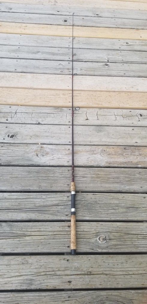 Penn Power graph 6'6" medium action