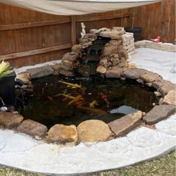 Small Pond Service 