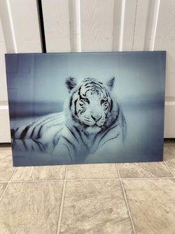 Beautiful brand new 28 by 20 inch tempered glass wall art. (MUST SELL TODAY)
