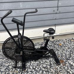 ASSAULT AIR BIKE