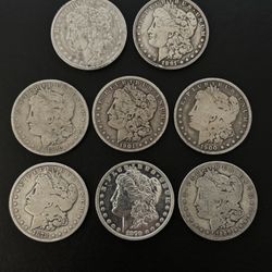 (8) Morgan Silver Dollars