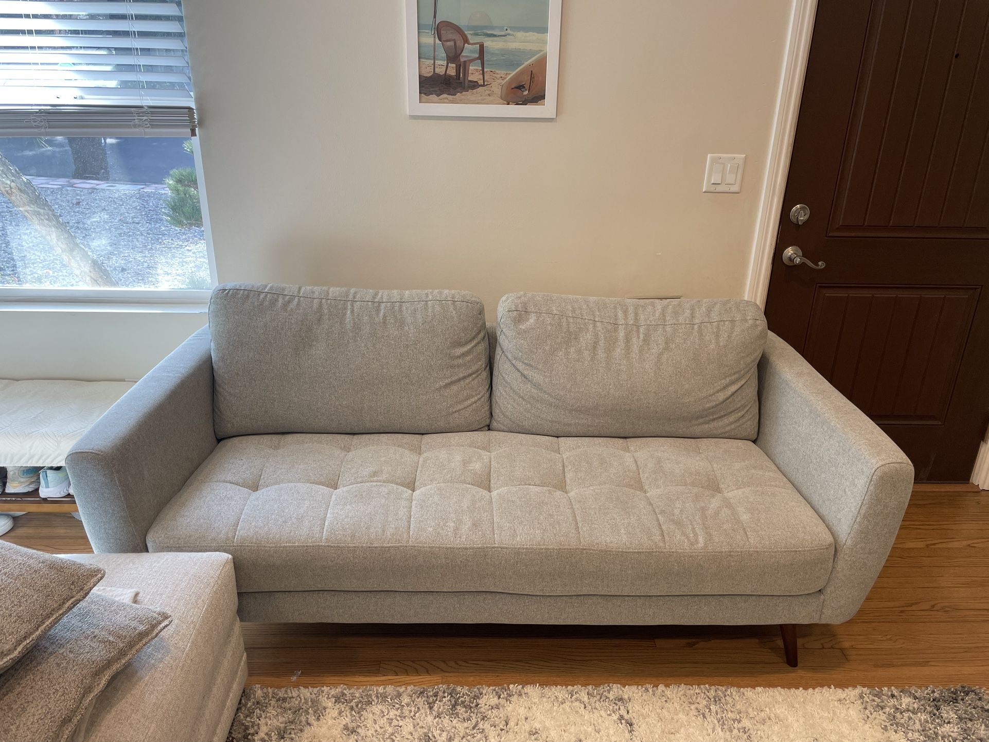 Light Grey Couch