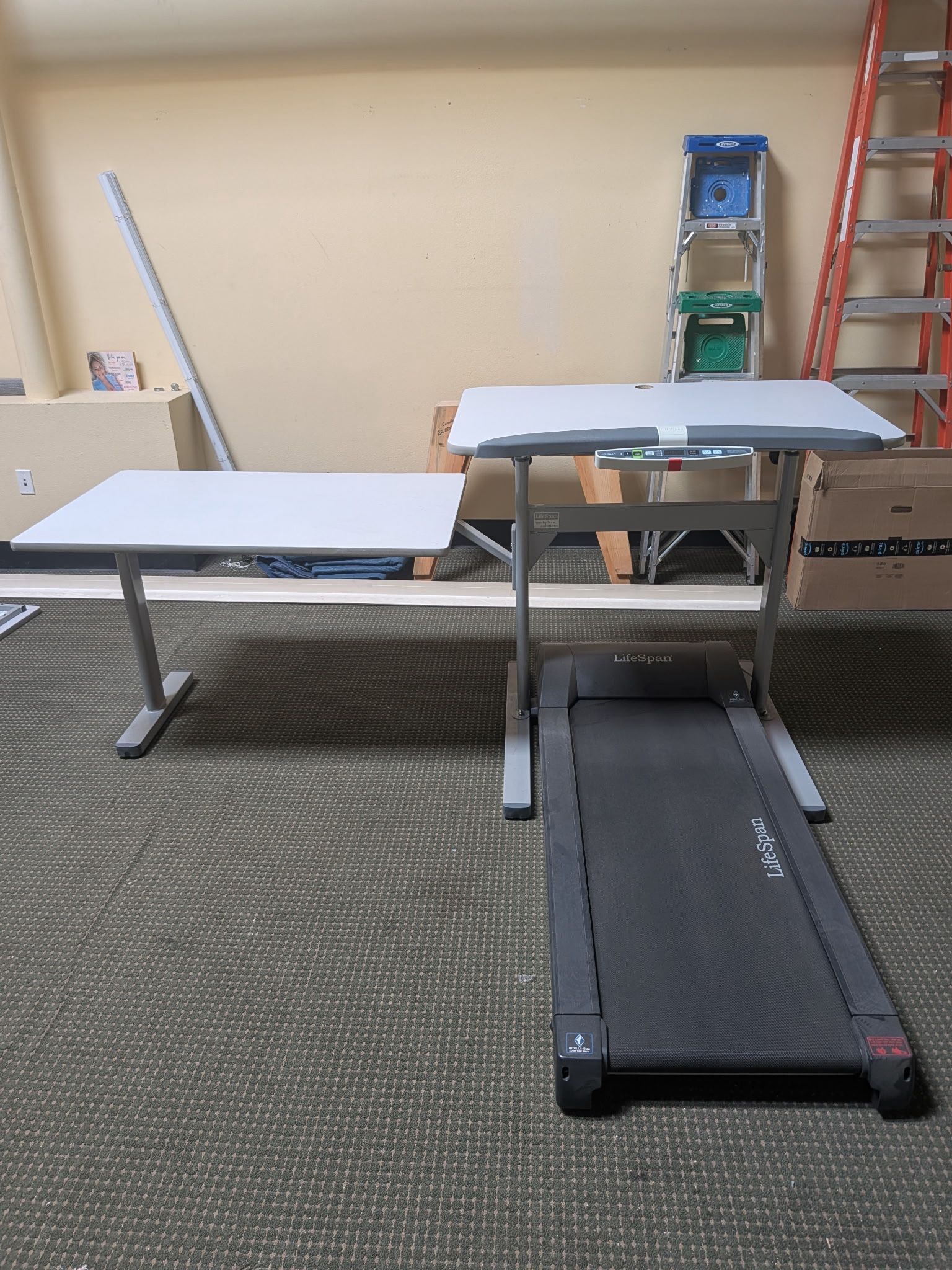 Lifespan Treadmill Desk