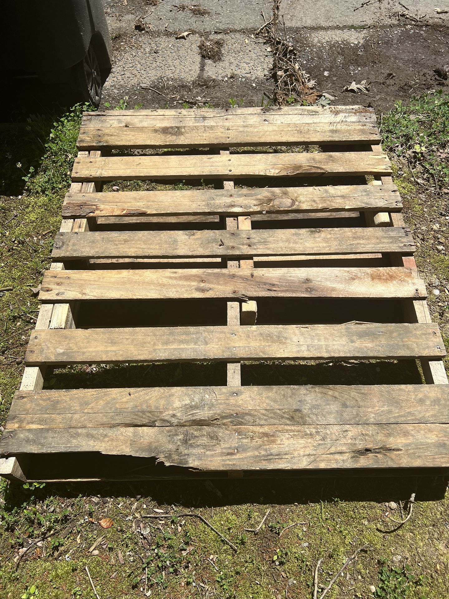 Free Pallet for Pickup In Springfield