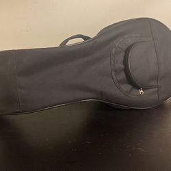 roosebeck 8 course lute