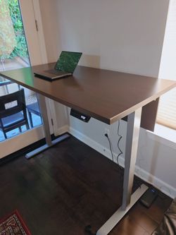 Friant Electric Desk - $150