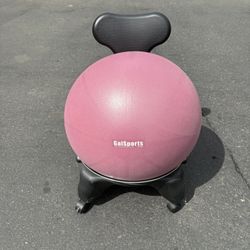 Exercise Ball Chair