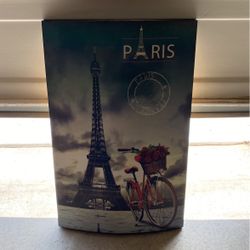 Paris Picture 