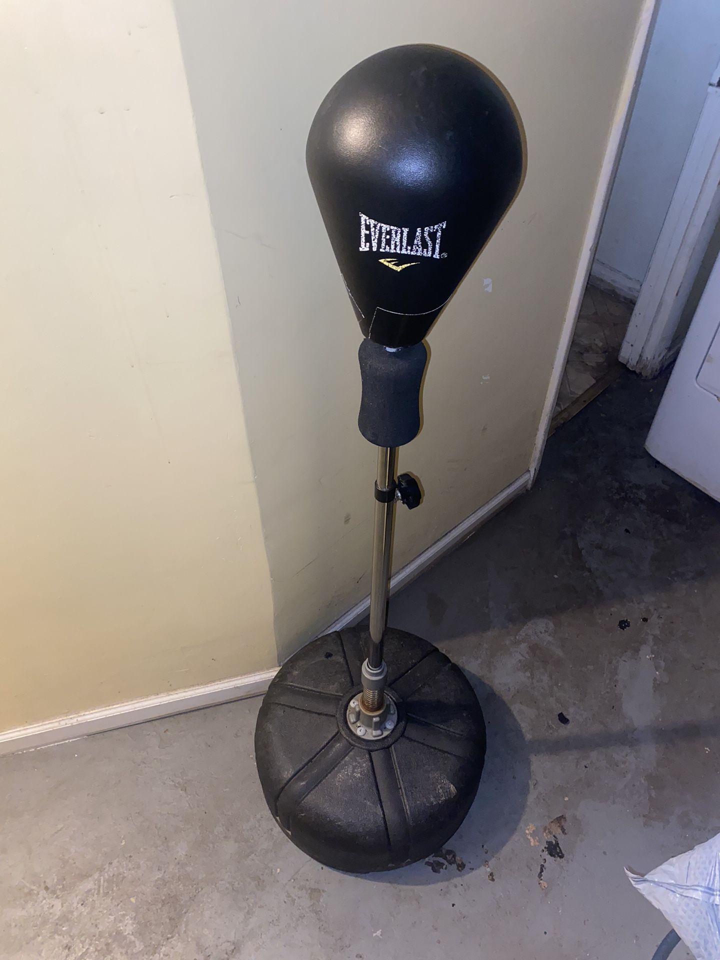 Everlast Speed Bag & Weight