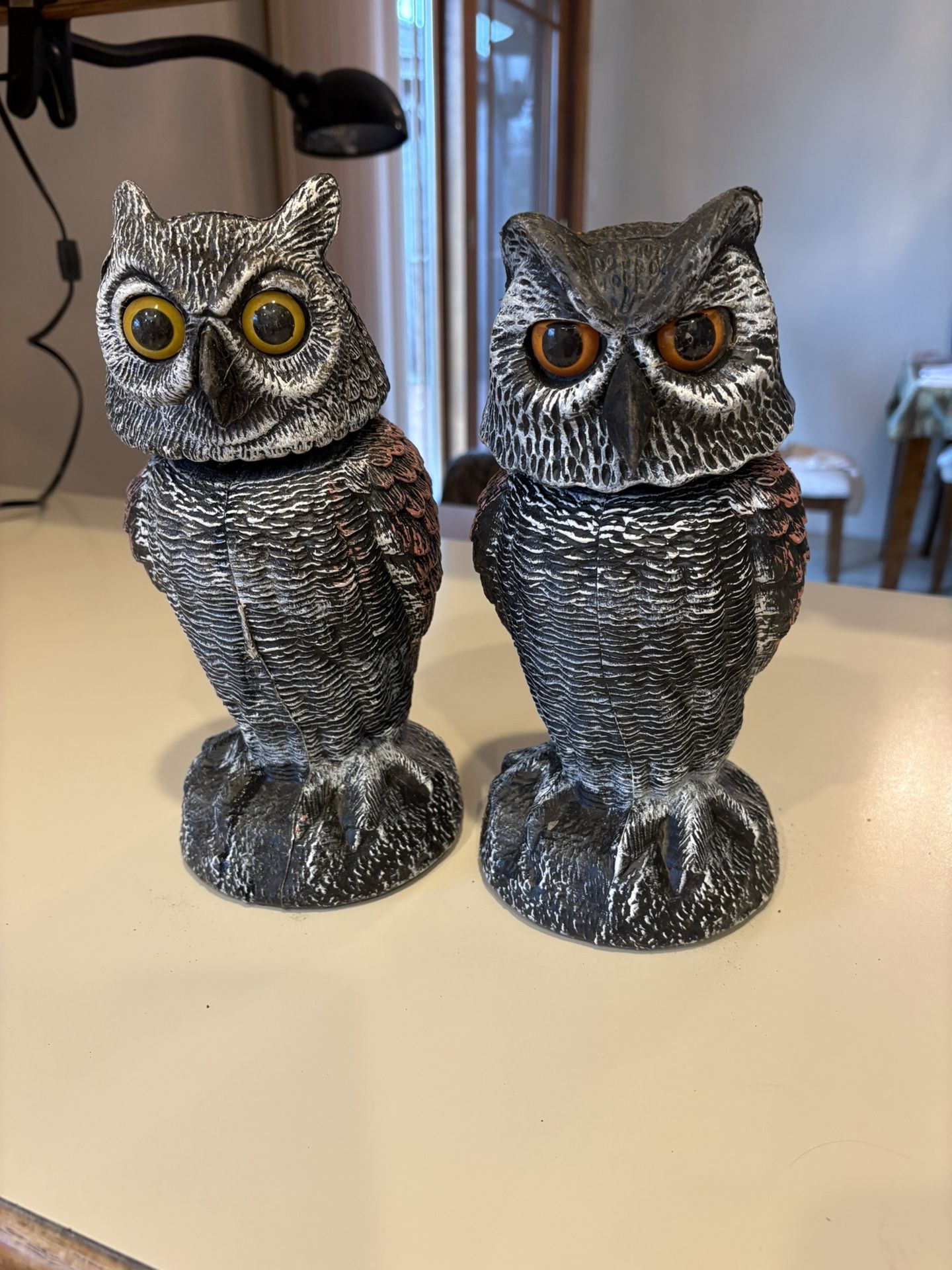 Pair Of Plastic Owls Decoys
