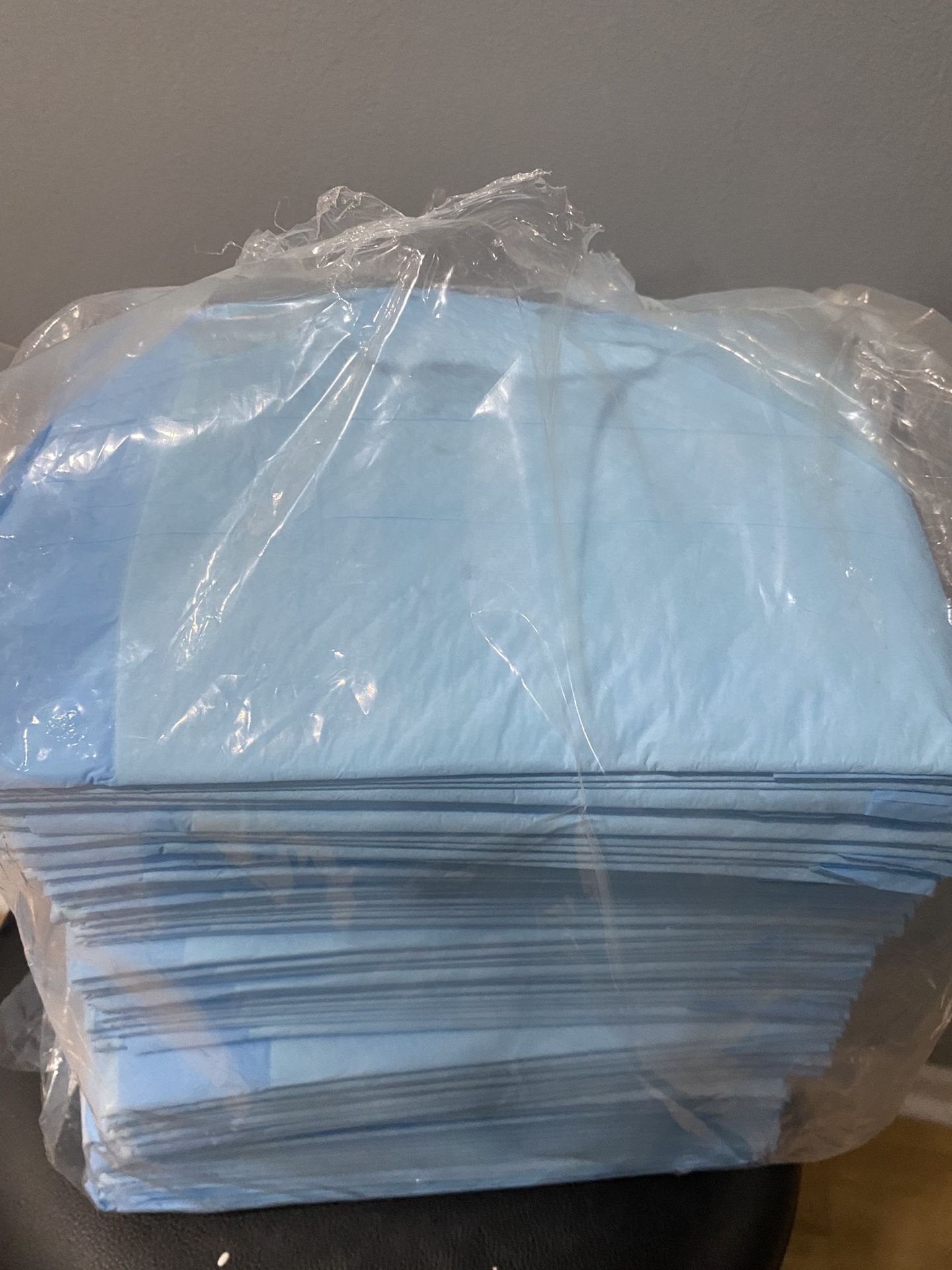 Dog Training Pads