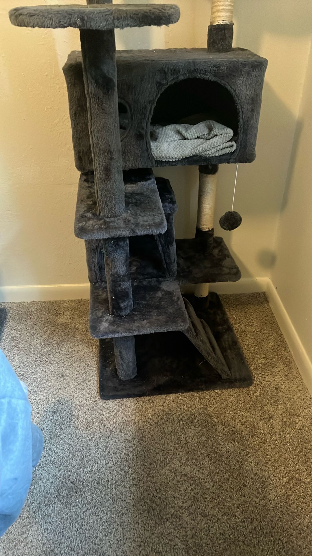 Cat Tree 