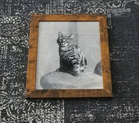 Framed Vintage Photo Print - Ship Mascot Cat "T.S.S. Custodian" (8x10)