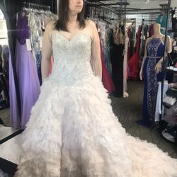 Brand New Wedding Dress 