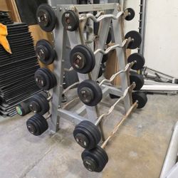 Fixed ez cur| barbells with freemotion storage rack gym equipment exercise weights